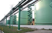 АМКУ дозволив Bunge придбати активи ViOil