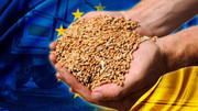 Рада ЄС 13 жовтня змінить квоти для українського експорту