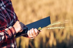 Верховна Рада ухвалила створення Виплатної агенції
