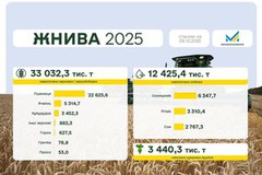 Жнива 2025: зібрано понад 55 млн т зернових та олійних культур