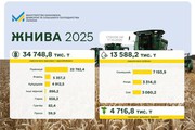 Жнива 2025: зібрано майже 35 млн т зернових і понад 13 млн т олійних культур