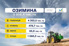 В Україні засіяли вже 90% площ під озимі культури
