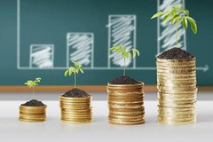 ВР підтримала законопроект про повернення капітальних інвестицій через податки