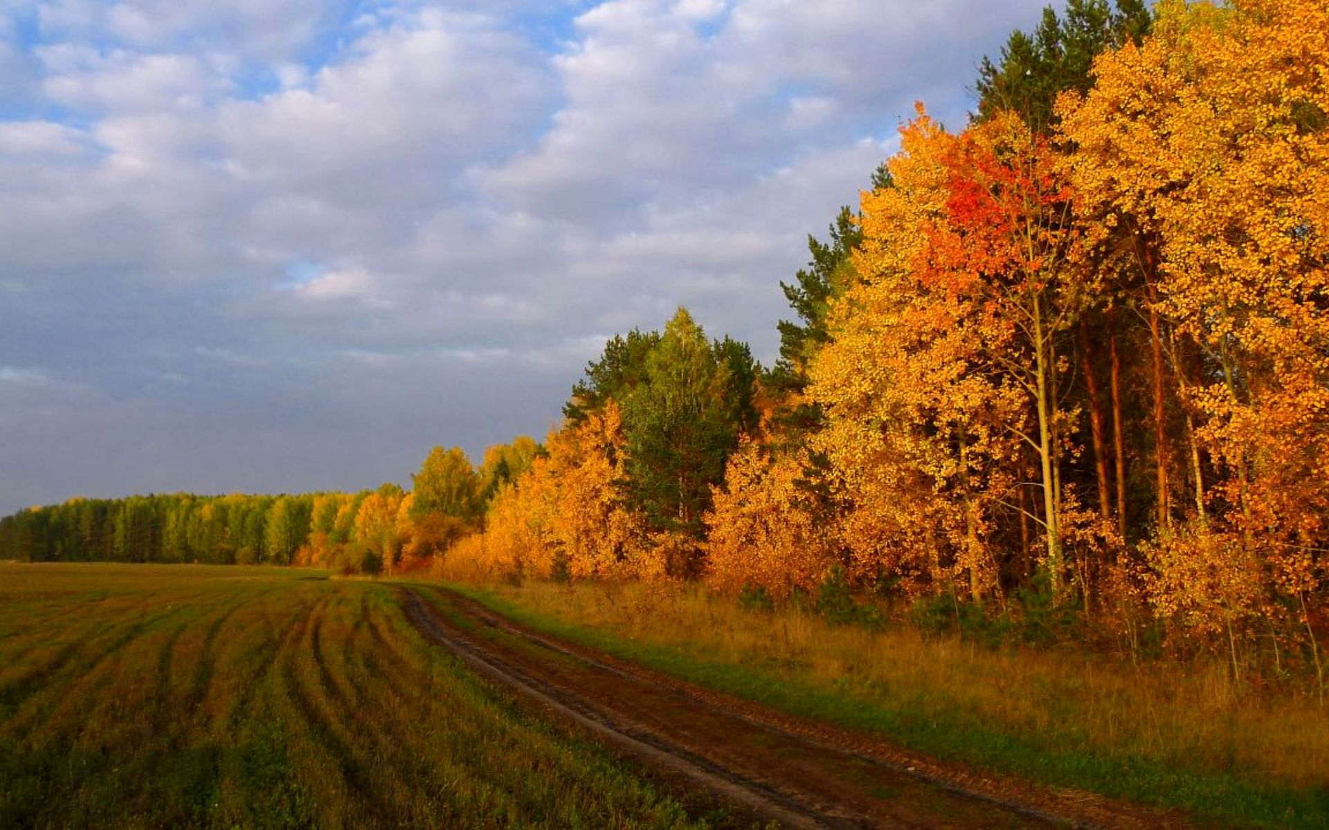 Жовтневі дощі покращили стан озимих навіть у найпосушливіших регіонах Жовтневі дощі покращили стан озимих навіть у найпосушливіших регіонах