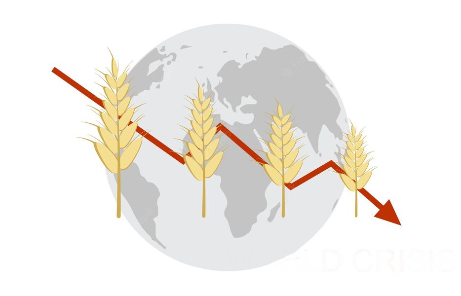 Світовий банк прогнозує падіння цін на аграрну продукцію у 2025/26 МР