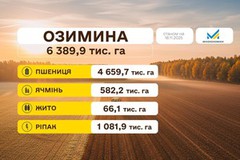 Посівна на фініші: засіяно 97,5% площ