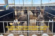 Держава компенсуватиме 50% вартості будівництва тваринницьких ферм на прифронтових територіях Держава компенсуватиме 50% вартості будівництва тваринницьких ферм на прифронтових територіях