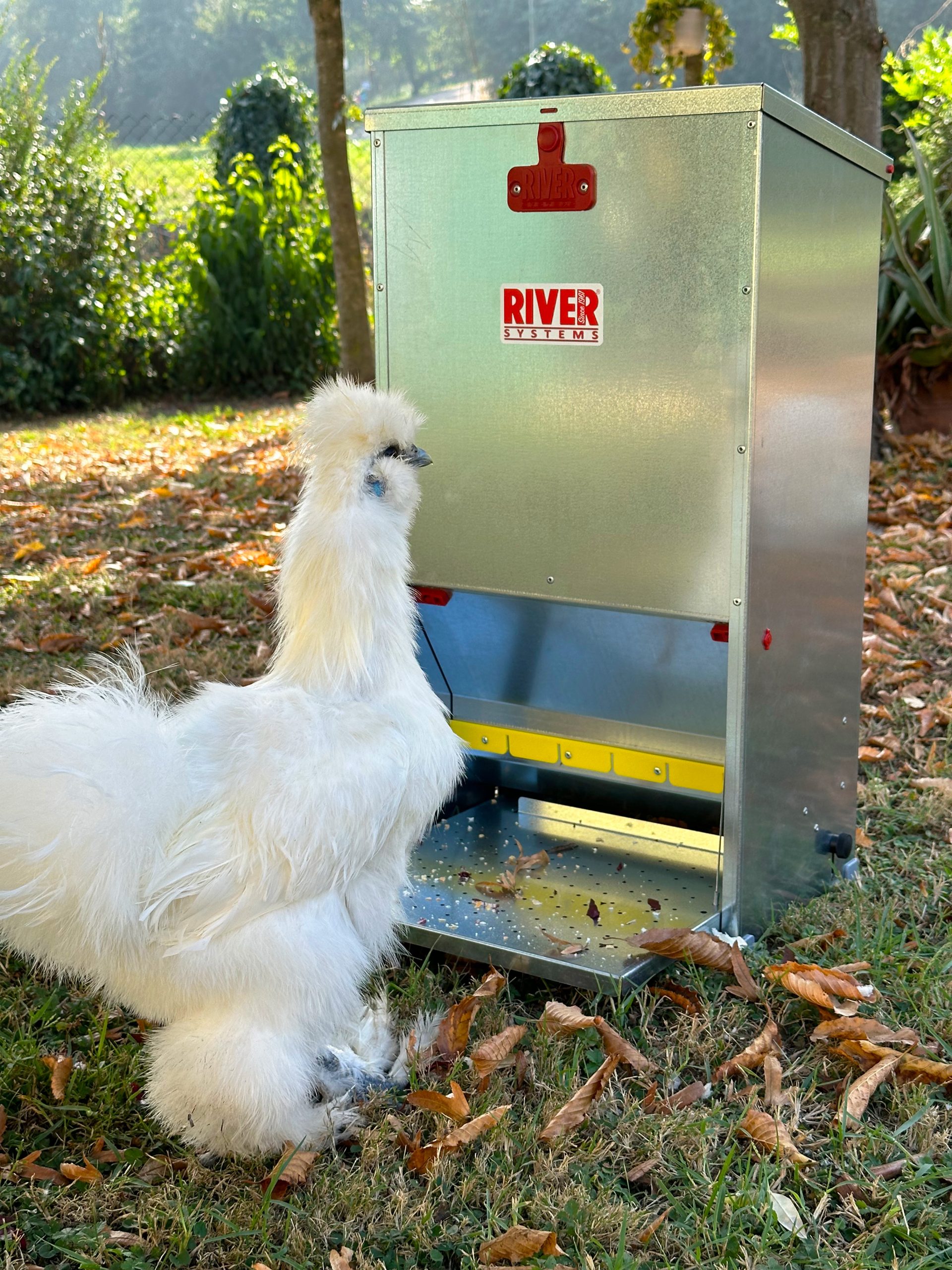 Практична годівниця – сита птиця Практична годівниця – сита птиця