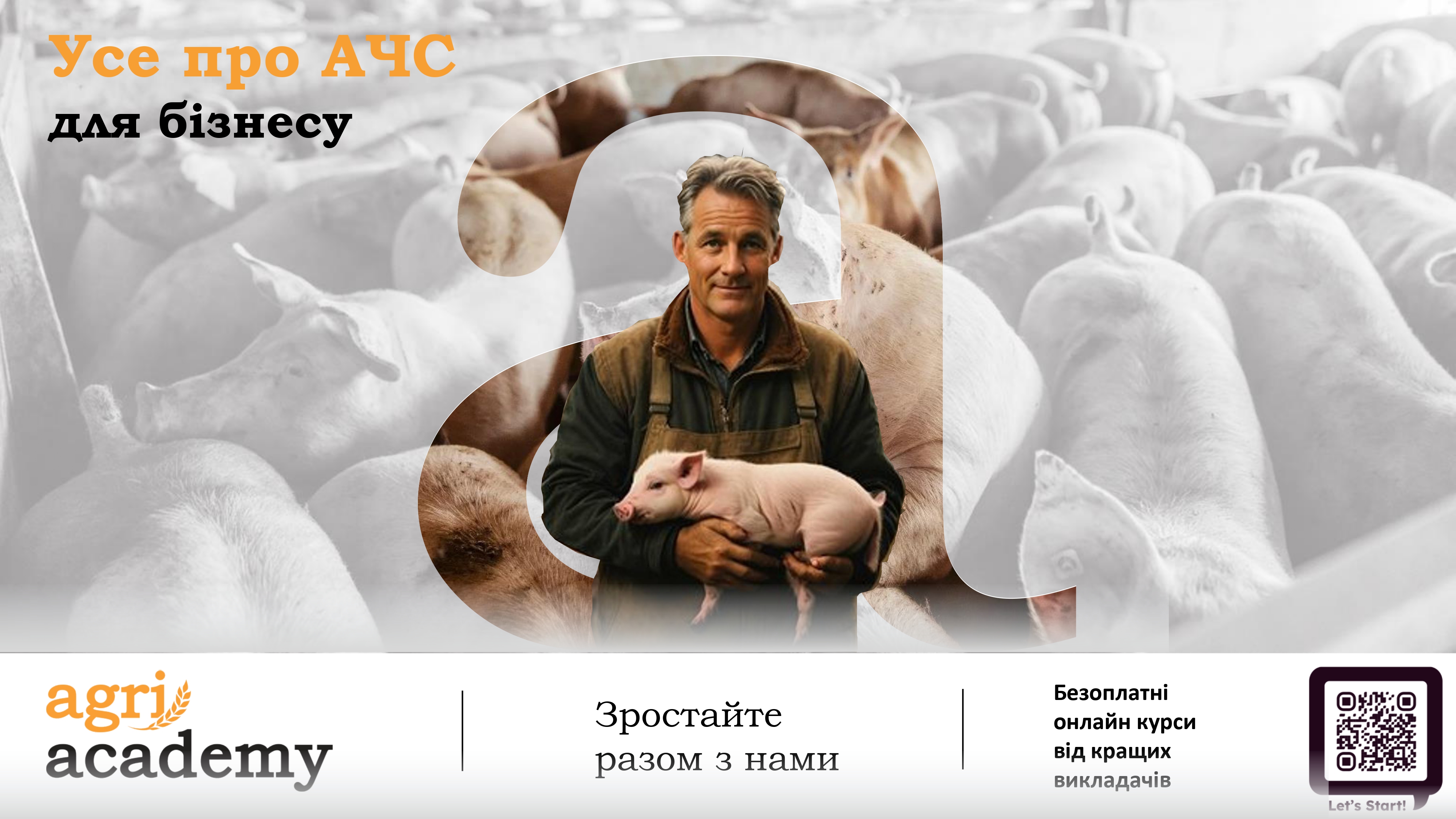 Як захистити господарство від АЧС: доступний безкоштовний курс для всіх свинарів Як захистити господарство від АЧС: доступний безкоштовний курс для всіх свинарів