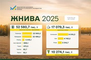 Україна завершує жнива-2025: результати за 2025 р. і прогнози на 2026 р. Україна завершує жнива-2025: результати за 2025 р. і прогнози на 2026 р.