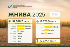 Україна завершує жнива-2025: результати за 2025 р. і прогнози на 2026 р.