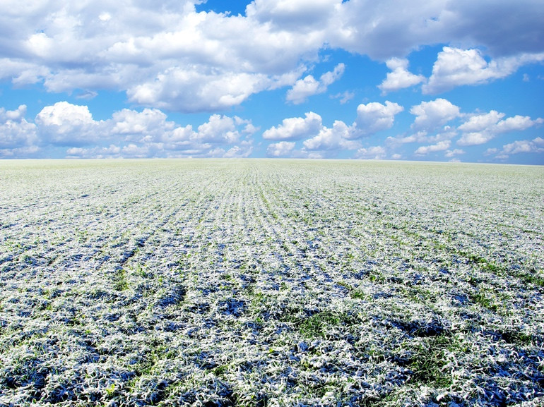 Листопад був одним із найтепліших за весь період спостережень