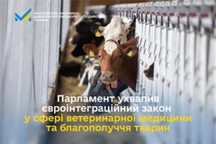 Парламент ухвалив євроінтеграційний закон у сфері ветеринарії та добробуту тварин