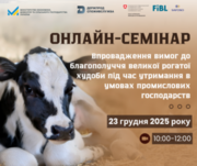 Відбудуться безкоштовні онлайн-семінари щодо впровадження вимог ЄС із благополуччя ВРХ