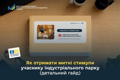 Як отримати митні стимули учаснику індустріального парку (детальний гайд)