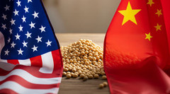 Китай нарощує закупівлю сої в США