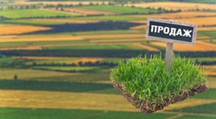 Ринок землі: скільки коштує гектар у різних регіонах України