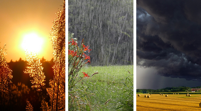 Межа зони достатнього зволоження зміщується на північ – дослідження