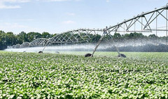 Площа политих земель в Україні скоротилась на 75%