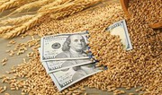 Експорт зерна майже досягнув 17 млн тонн