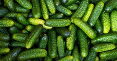 Огірки знову дорожчають: ринок не встигає за попитом