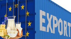 Експорт молокопродуктів різко скоротився: зовнішня торгівля у січні впала майже на 60%