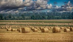 Агробізнес – один з лідерів зі сплати податків минулого року