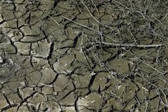 Держава компенсує аграріям до 4,7 тис. грн за втрачений гектар посівів