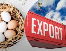За 2025 рік Україна експортувала 2,05 млрд.штук харчових яєць