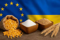 Польща поскаржилася в ЄС на агроімпорт з України: просять захистити європейських фермерів