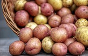 В Україні почали зростати оптові ціни на картоплю В Україні почали зростати оптові ціни на картоплю