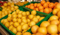 Цитрусові в лютому: мандарини подешевшають, а лимони дорожчатимуть