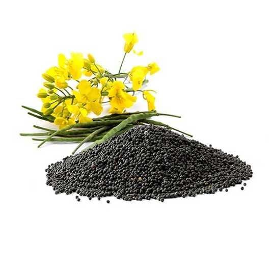 Китай вперше вийшов у лідери серед імпортерів українського ріпакового шроту Китай вперше вийшов у лідери серед імпортерів українського ріпакового шроту