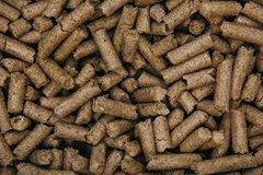 Експорт ріпакового шроту з України зріс на 70%: Китай став найбільшим імпортером