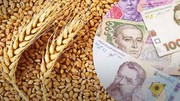 Ціни на зерно — як змінилися з початком лютого