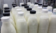 У 2025 році на перероблення надійшло 3,22 млн тонн молока