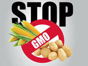 ГМО в Україні залишаються під забороною