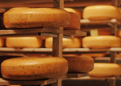 В Україні торік виробили понад 142 тис. тонн сирів