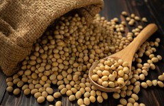 Українська соя поступово дорожчає під впливом світового ринку