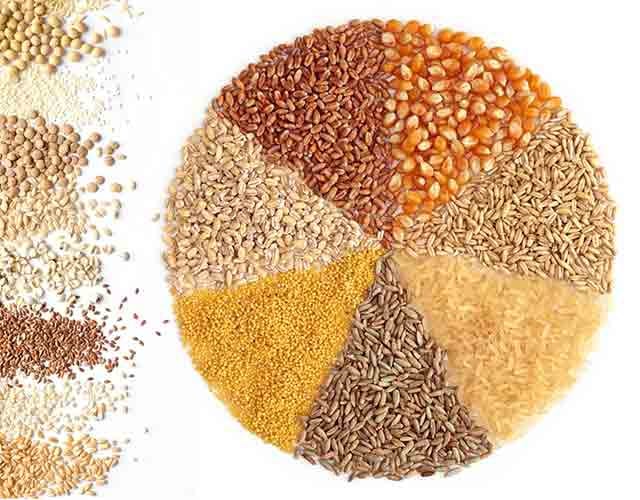 ЄС експортував майже 26 млн т зерна