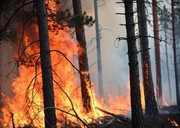 Екологи оцінили кліматичні втрати від війни