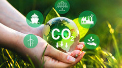 Світовий ринок органічних пестицидів перевищив $5,3 млрд