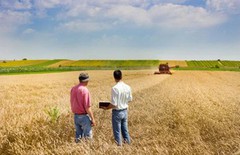 В Україні запускають агрострахування: подробиці