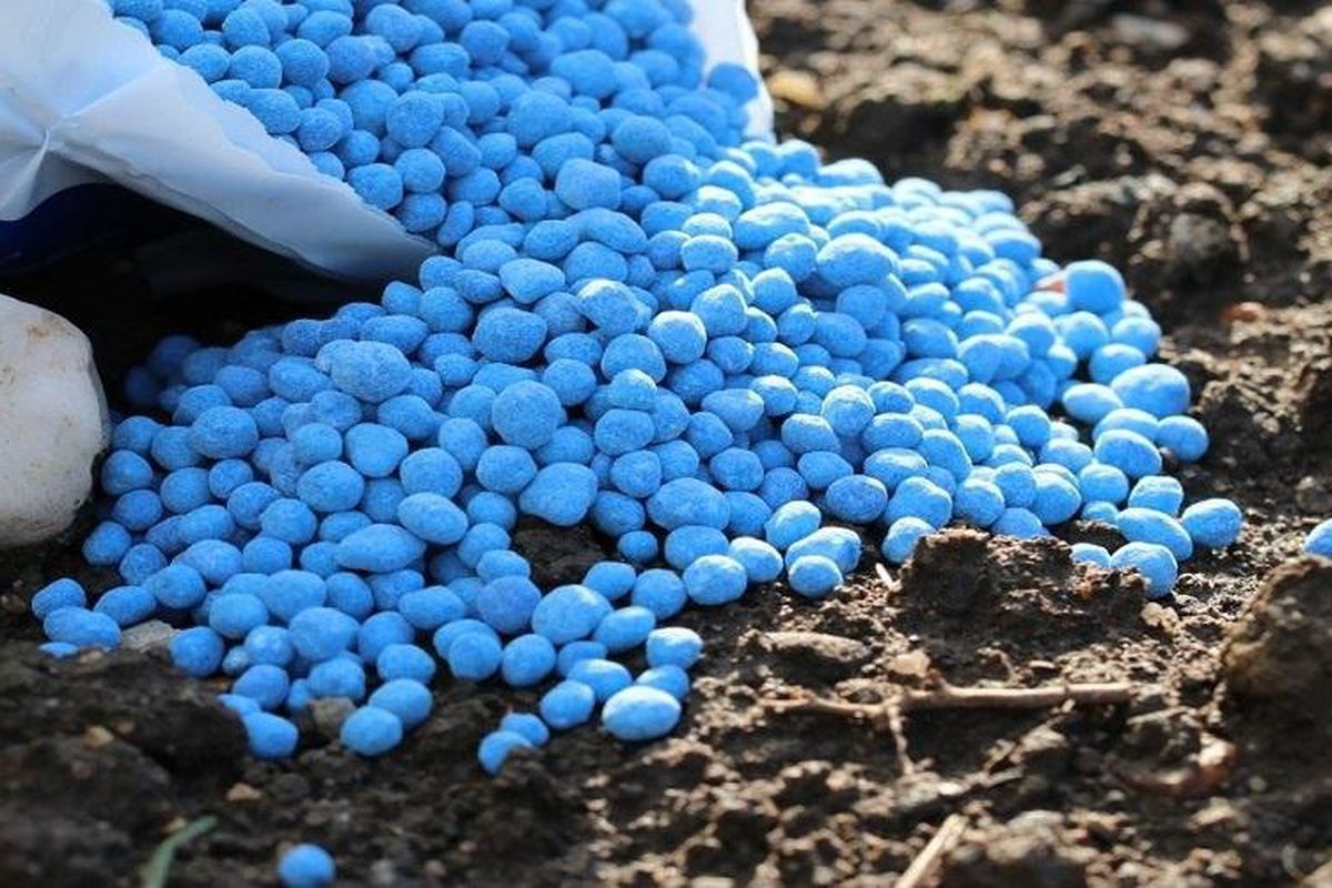 Війна в Ірані загрожує глобальним поставкам добрив