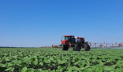 83% агрокомпаній планують підвищити зарплати працівникам у 2026 році