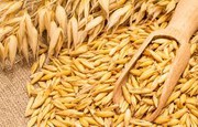 Експорт вівса з України за 2 місісяці 2026 скоротився на 98%