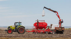 В Україні ярими культурами вже засіяли 50 тис. га