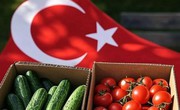 Холод і логістика піднімають ціни на огірки та томати з Туреччини