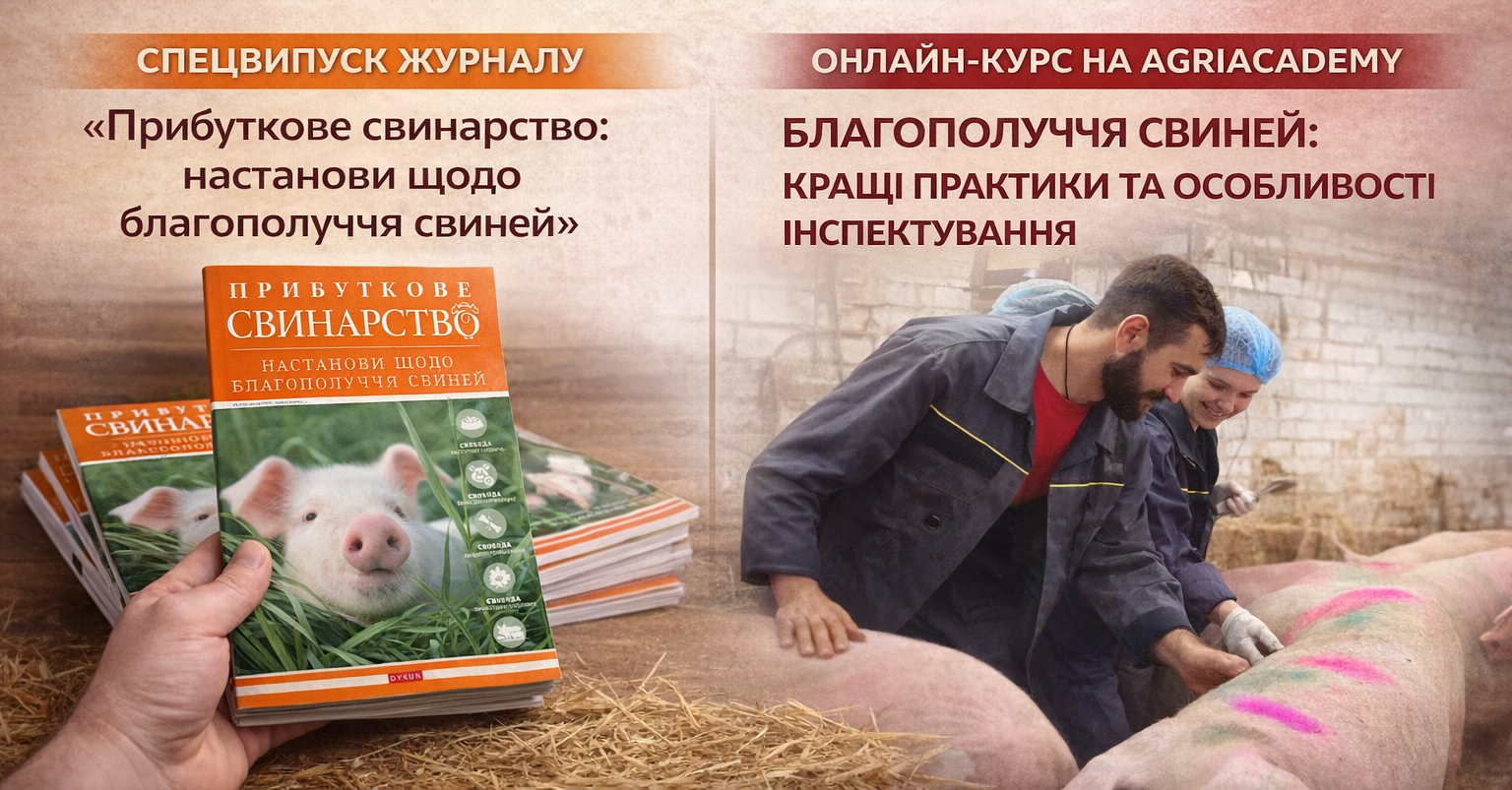 Від теорії до практики: де знайти все про благополуччя свиней у 2026-му році