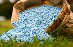 Світові ціни на добрива б’ють рекорди: що очікувати аграріям та трейдерам